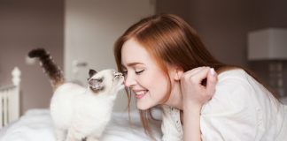 Zašto mačke ližu svoje vlasnike