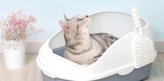 pjesčanik za mačke