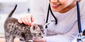 Kastracija i sterilizacija